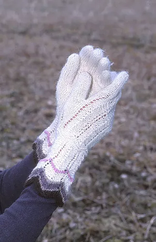 93-12 c - Gloves