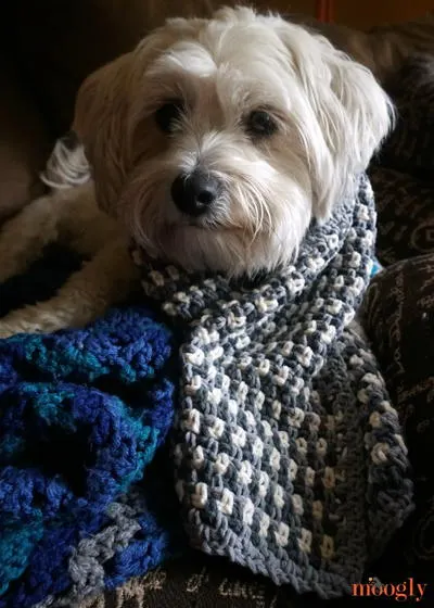 Autumn Amore Scarf