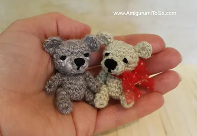 Barley the Tiny Bear