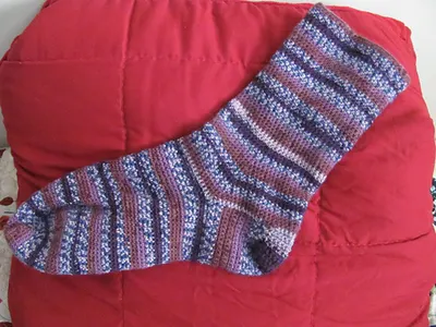 Basic Sock