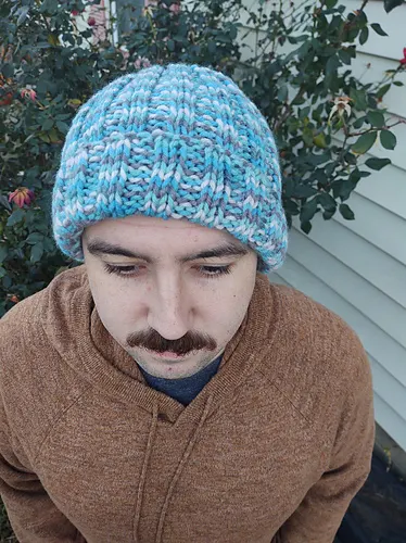 Beavertail Skully
