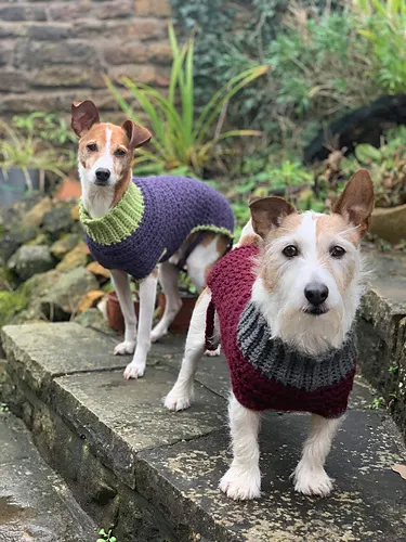 Bespoke Doggie Jumper