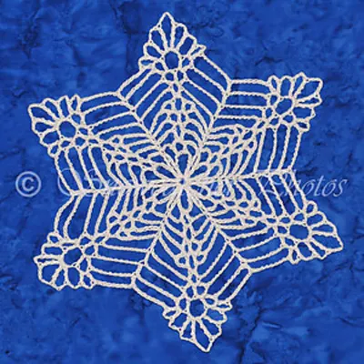 Bigger, Wetter, Heavier Snowflake