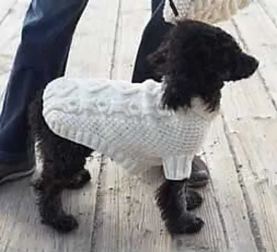 Biscuits & Bones Dog Coat