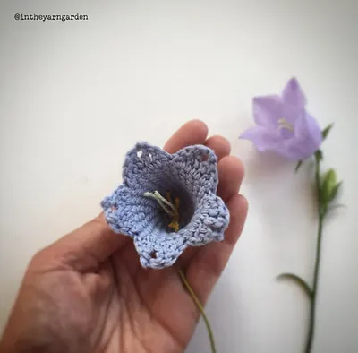 Blue bell flowers