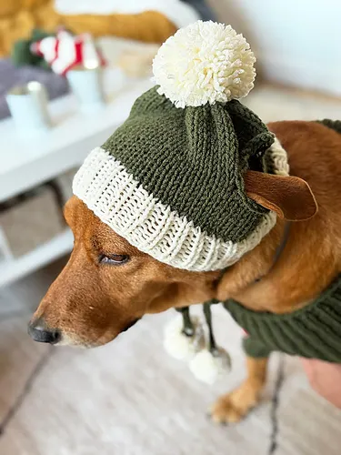 Bobble Dog Hat With Ear Holes