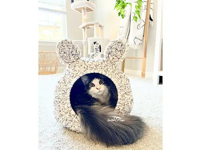 Boho Mouse Ears Cat Pod