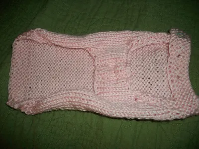 Cardigan Sweater for a small Chihuahua