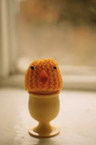Chick Egg Cosies