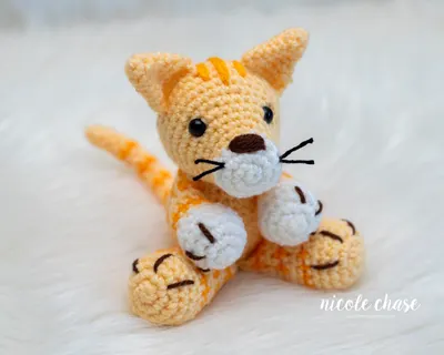 Cooper the Cat