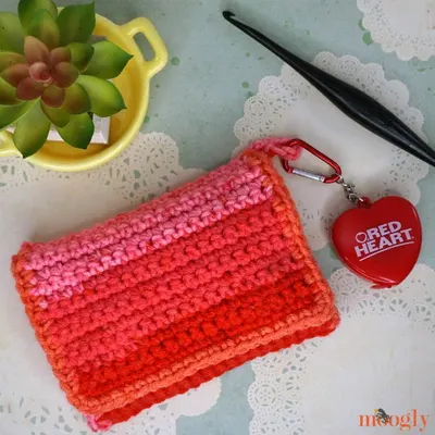 Crafty Carrying Case