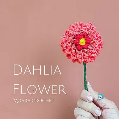 Dahlia Flower