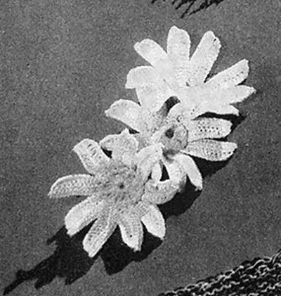 Daisy Nosegay #2209