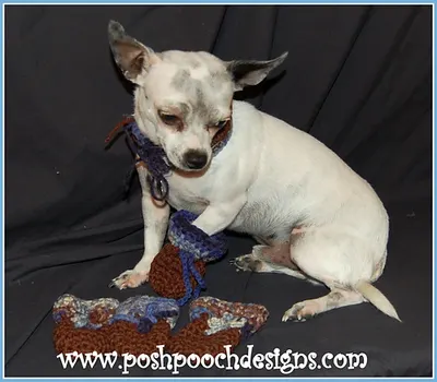 Dog Booties - Booties For Small Dogs