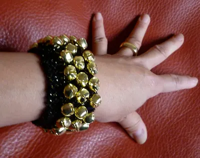 Dog Collar or A Bracelet