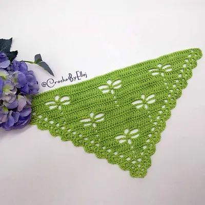 Dragonfly shawlette