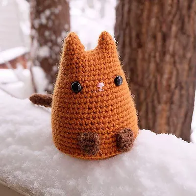 Dumpling Kitty