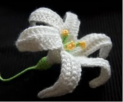 Easter Lily (November Lily)