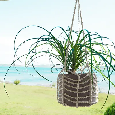 Easy Plant Hanger