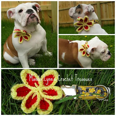 Flower Collar