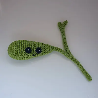 gallbladder