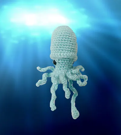 Giant Mini Bobtail Squid