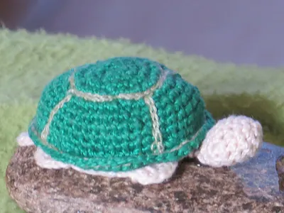 green turtle