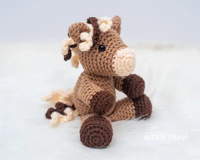 Hailey the Horse