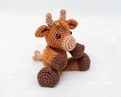 Hazel the Highland Cow