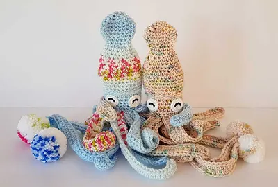 Hubble the Squid