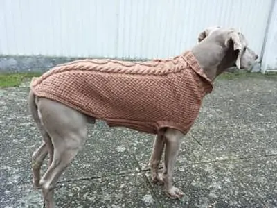 Hundepulli Maxi - dog sweater