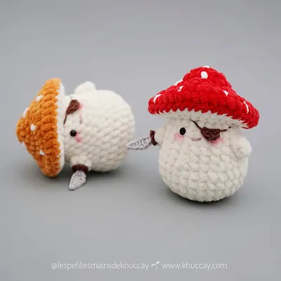 Jackie the pirate mushroom
