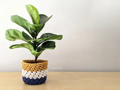 Julie Basket