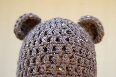 Just Bear Ears