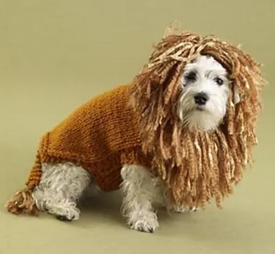 King of the Beasts (Lion) Dog Sweater