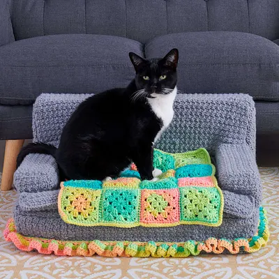 Kitty Couch