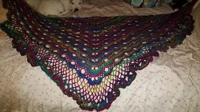 Lacy Border for Triangle Shawl