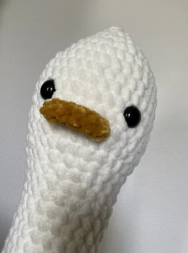 Mr. Birb