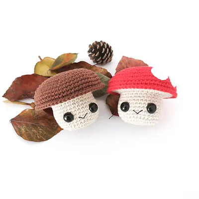 Mushroom Buddy