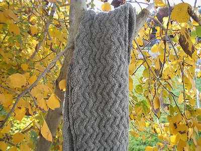 Ned's Toasty Scarf and Hat