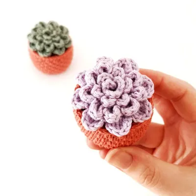 No-Sew Succulent