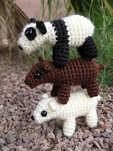 Panda, Polar, and Brown Bear