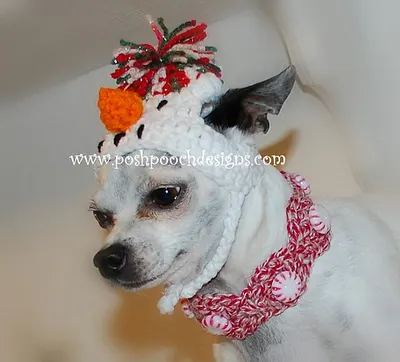 Peppermint Christmas Dog Collar