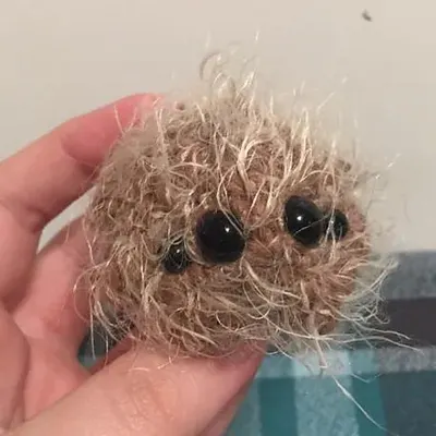 Pocket spider