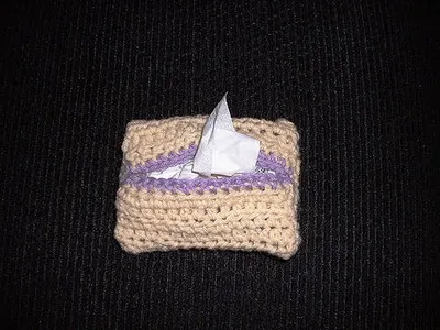 Pocket Tissue Cover