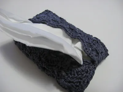 Pocket Tissue Pouch