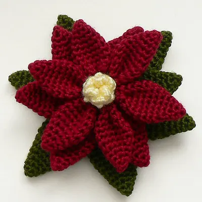 Poinsettia