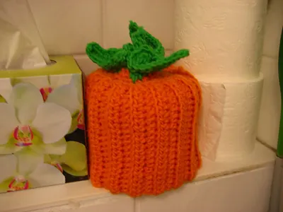 Pumpkin TP Cover