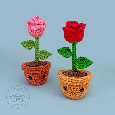 Rose Cutie