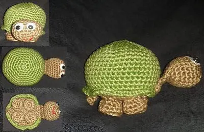Schildkröte / turtle